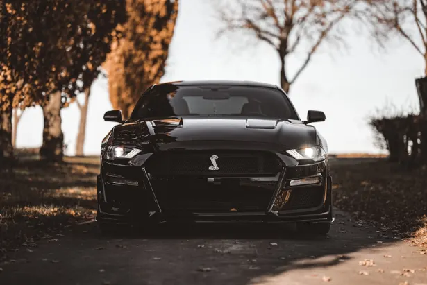 Casino Golden Palace Application Android/iOS